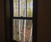 Silver Birch Vacation Rental