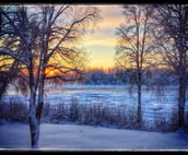 Riverside Cabin at Susitna River Lodging