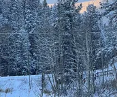Private, Comfortable, Remote Mountain Apartment in Walk-out Garden Level of Home
