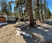 Private, Comfortable, Remote Mountain Apartment in Walk-out Garden Level of Home
