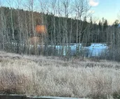 Private, Comfortable, Remote Mountain Apartment in Walk-out Garden Level of Home