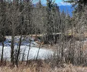Private, Comfortable, Remote Mountain Apartment in Walk-out Garden Level of Home