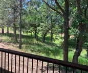 Six Gun Lodge, very private on 80 acre tree farm