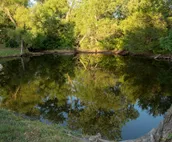tLc Country Living