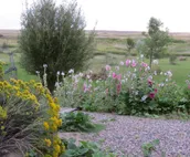 The Painter's Cottage