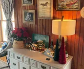 Cabin on the river, great views, swim access