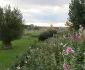 The Painter's Cottage