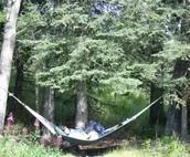 Bunk Den Room: Hungry Moose B&B in Kasilof, AK