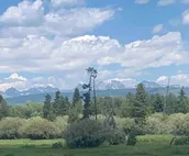 Moose Cabin