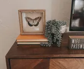 Mini Ponderosa