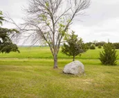 Updated Farmhouse Getaway
