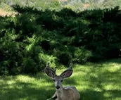BLUFF HOUSE View,CLEAN, Hot Pools, Buffalo, Golf