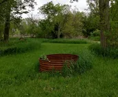 Whisker Creek Ranch