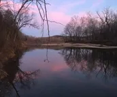 Cabin on the river, great views, swim access