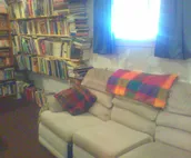 Bunk Den Room: Hungry Moose B&B in Kasilof, AK