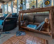 Cabin on the river, great views, swim access