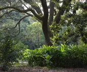 Fairhope Farm Stay