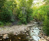 Cabin at Grass River Retreat