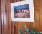 BLUFF HOUSE View,CLEAN, Hot Pools, Buffalo, Golf