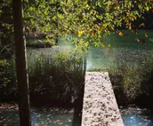 Peaceful Lakefront Paradise