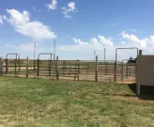 Branded 5 Stable-Farm Stay- Camper/RV-Pet friendly