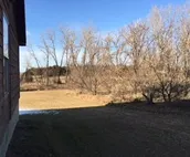 Forester Hunts