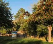 Cabin at Grass River Retreat
