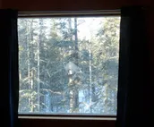 Charming Forest Cabin -sled dogs