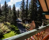 Full Amenities, Privacy, great location!