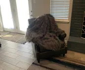 Casual Luxe home perfect for families of graduates