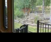 Mountain Suite