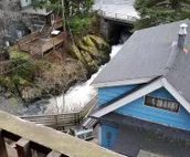 Blueberry Cottage on the Creek
