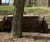 Spring Branch Cabin