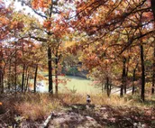 Cabin in the Woods, 10 minutes to Bartlesville