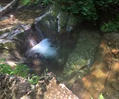 Hoots Roost, Catskills [$0 FEE, Cleaning Included]