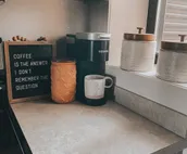 Mini Ponderosa