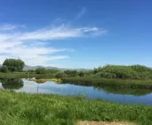 Spring Creek Meadows Cabin