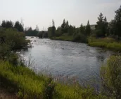 Pinedale Home on Pine Creek with Two Large Ponds!