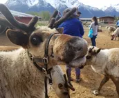Matanuska Villa 2 @ GlacierSuites - Pet-Friendly!