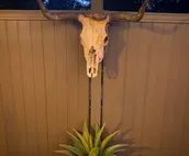 Buffalo Hallow retreat has fall fun/volleyball+