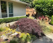 Spacious Private Double Beds Bright Near Airport