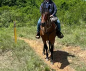 Branded 5 Bunkhouse Farm & Kennel, no cleaning fee