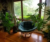 Ranch Home Near Everything Except the Neighbors