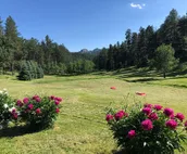The Woodsley - Hinterwood Inn & Cabins