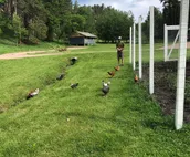 The Viewhouse - Hinterwood Inn & Cabins