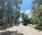 Mid-Century Charmer on a Tree Lined Street