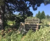 100 Mile View:Your Romantic Stay, No Cleaning Fees