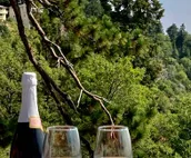 100 Mile View:Your Romantic Stay, No Cleaning Fees