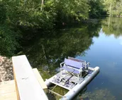 Swans Nest