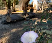 Camp Chester Glamping Retreat